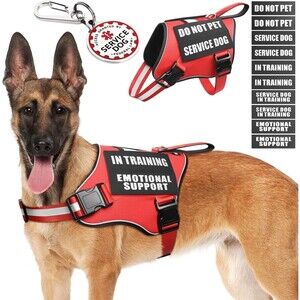 Service Dog Vest Leash Set Red Air Mesh Harness for Large Dogs Large Size NEW